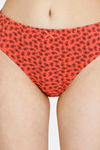 Rosaline Cyber Grove Medium Rise Full Coverage Bikini Panty (Pack of 3) - Multicolor — thumbnail 5